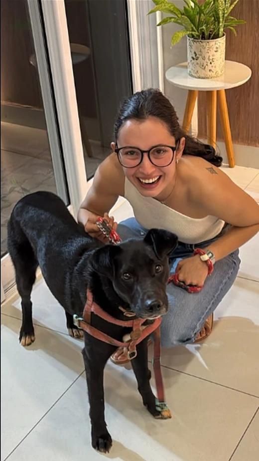 Alerta DivulgaPet